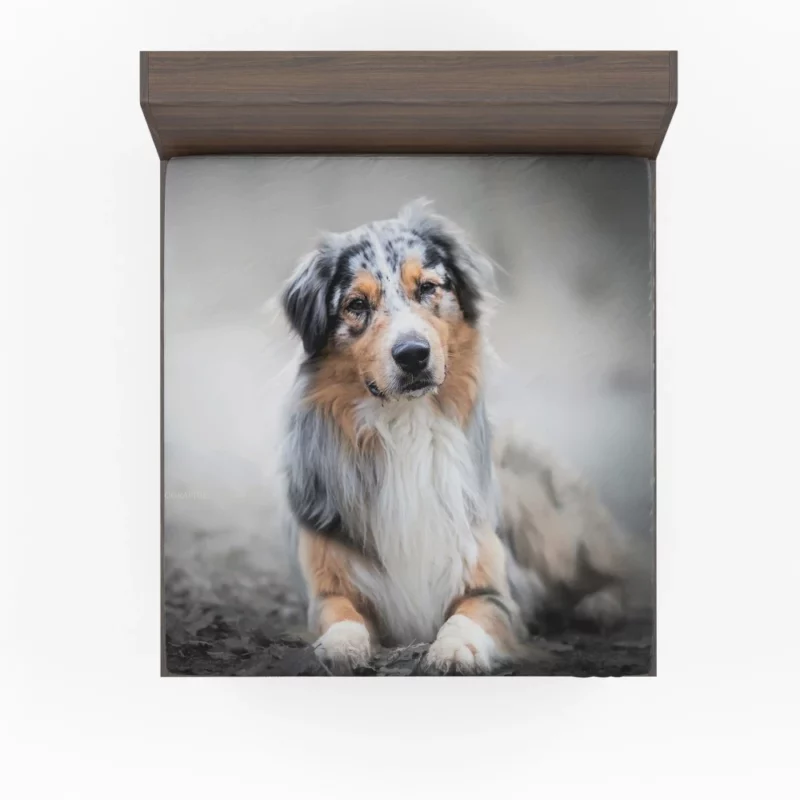 Australian Shepherd Adorable Charm Fitted Sheet 1