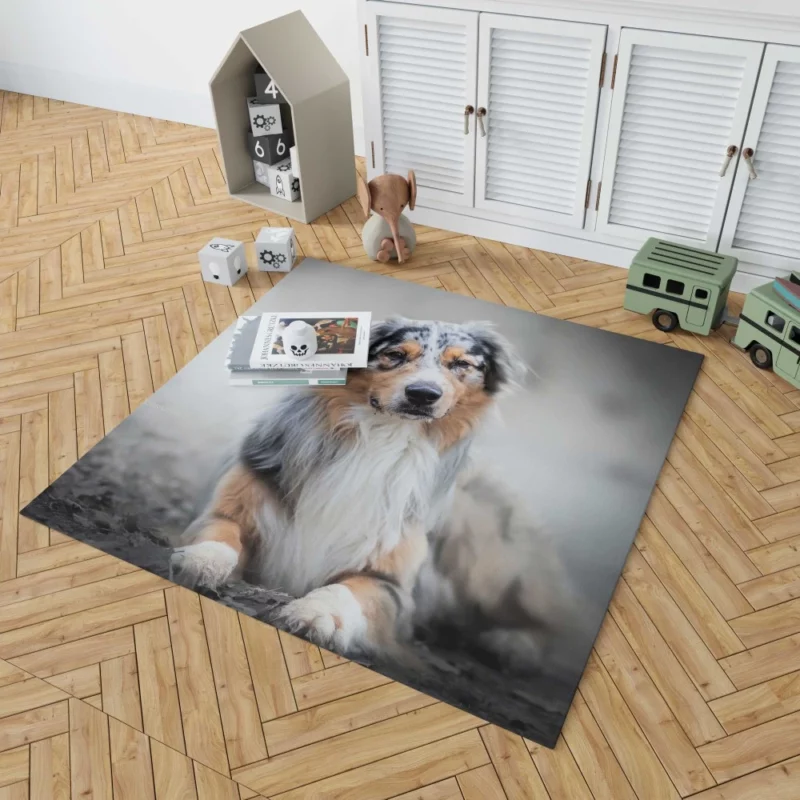 Australian Shepherd Adorable Charm Rug 1