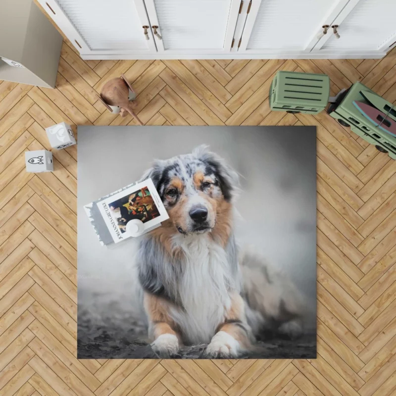 Australian Shepherd Adorable Charm Rug