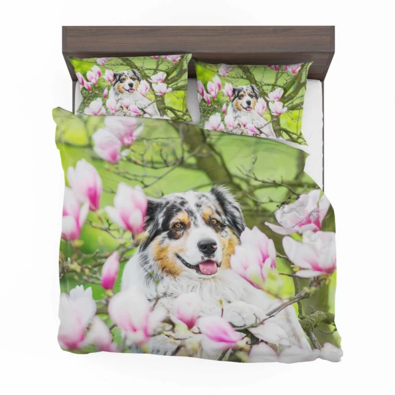 Australian Shepherd Amidst Magnolias Bedding Set 1