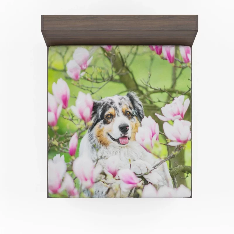 Australian Shepherd Amidst Magnolias Fitted Sheet 1