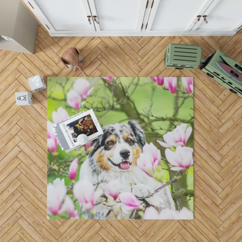 Australian Shepherd Amidst Magnolias Rug