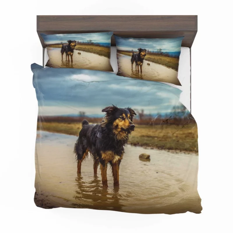 Australian Shepherd Amidst Water Blur Bedding Set 1