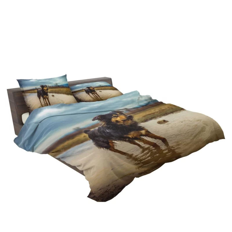 Australian Shepherd Amidst Water Blur Bedding Set 2