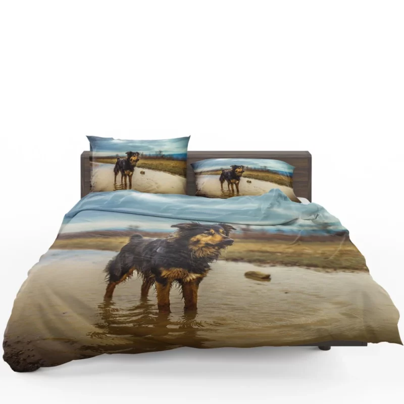 Australian Shepherd Amidst Water Blur Bedding Set