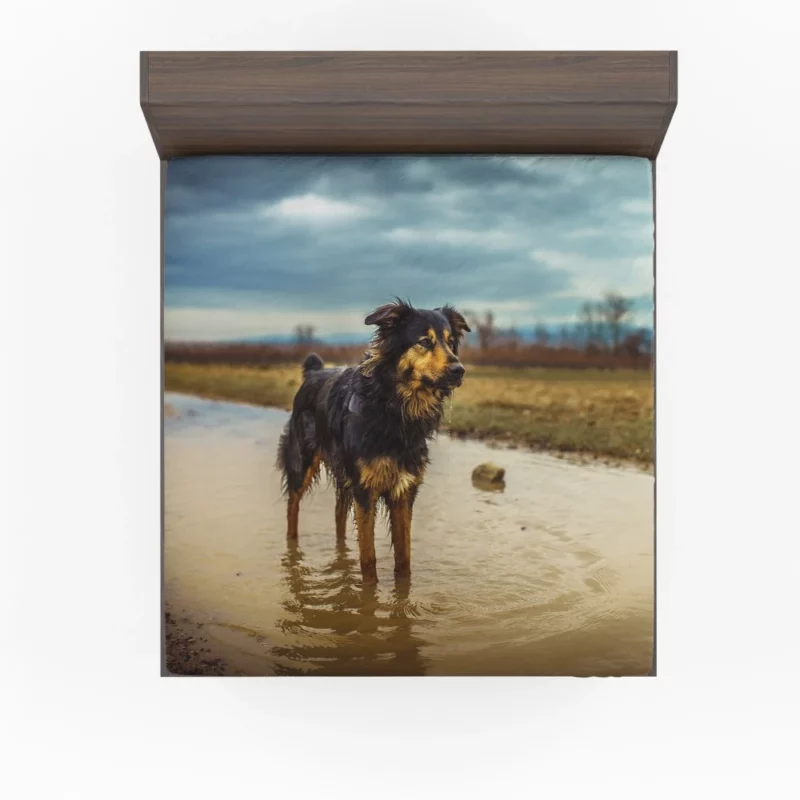 Australian Shepherd Amidst Water Blur Fitted Sheet 1