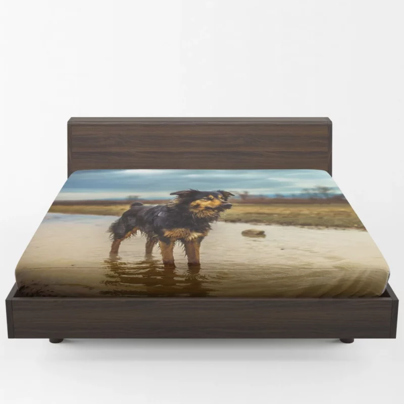 Australian Shepherd Amidst Water Blur Fitted Sheet