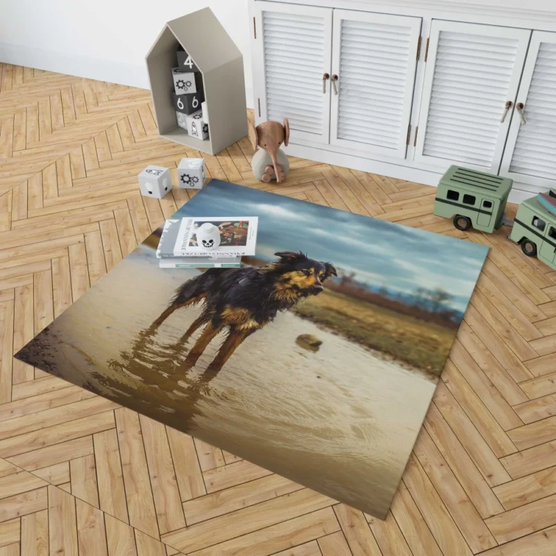 Australian Shepherd Amidst Water Blur Rug 1