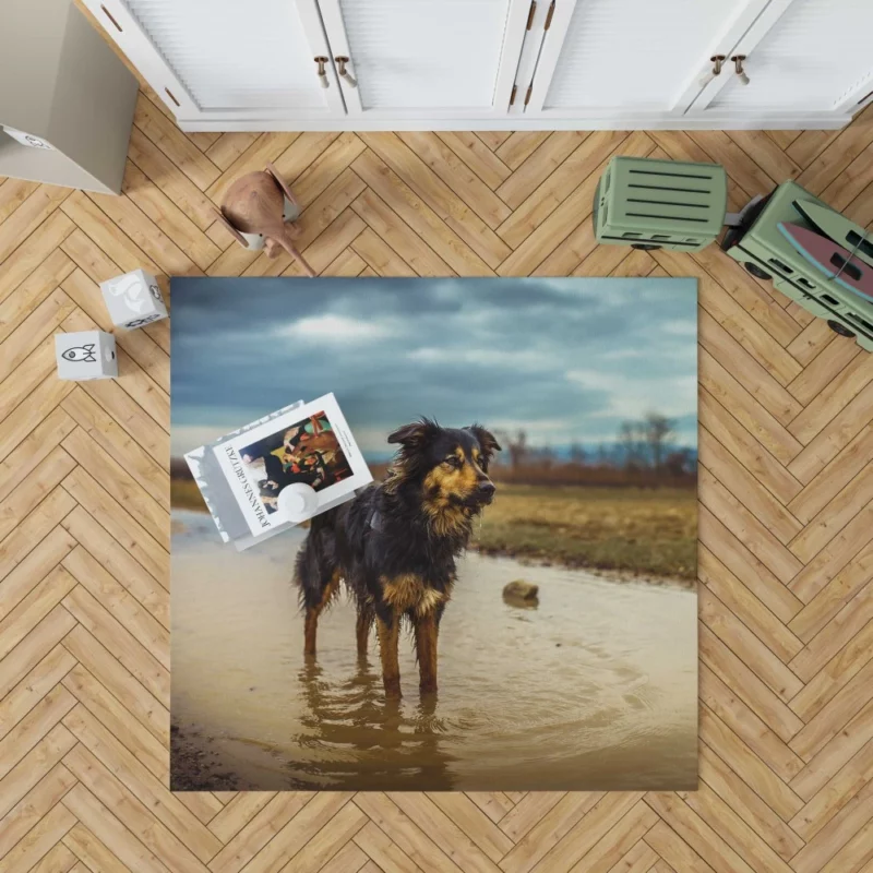 Australian Shepherd Amidst Water Blur Rug