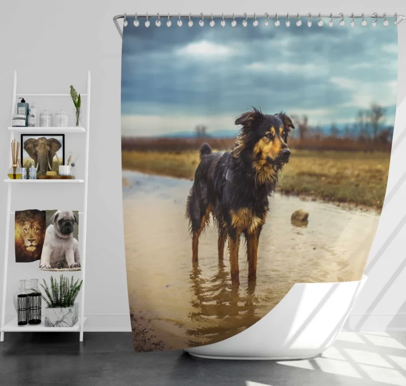 Australian Shepherd Amidst Water Blur Shower Curtain