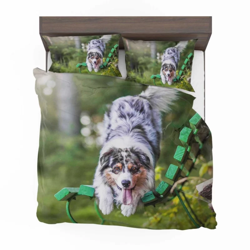 Australian Shepherd Bench Stare Bedding Set 1