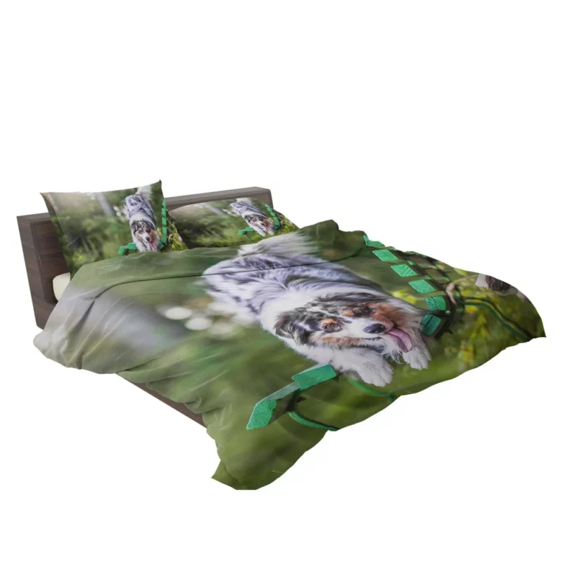 Australian Shepherd Bench Stare Bedding Set 2