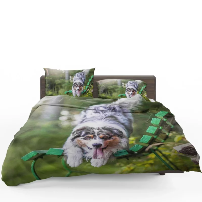 Australian Shepherd Bench Stare Bedding Set