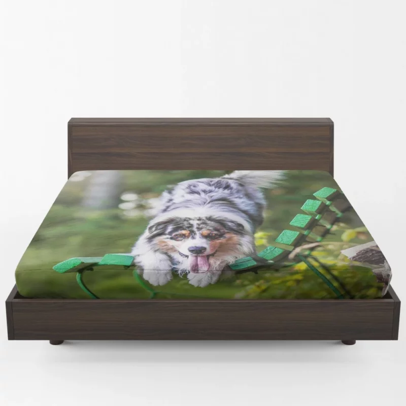 Australian Shepherd Bench Stare Fitted Sheet