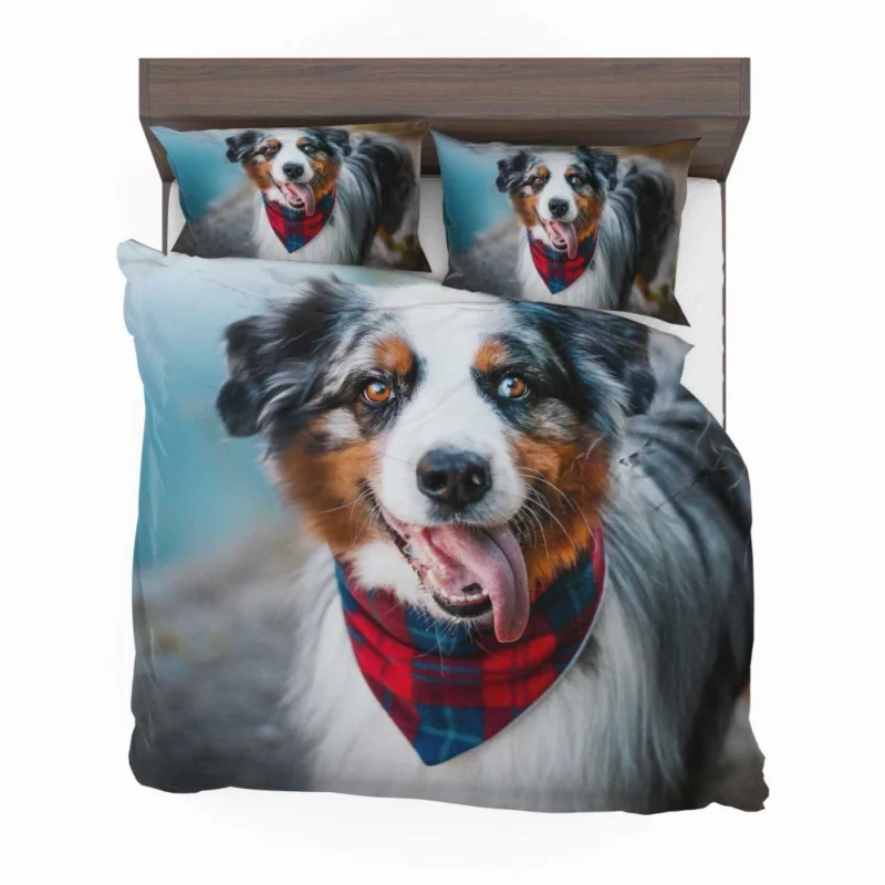 Australian Shepherd Blue-Eyed Aura Bedding Set 1