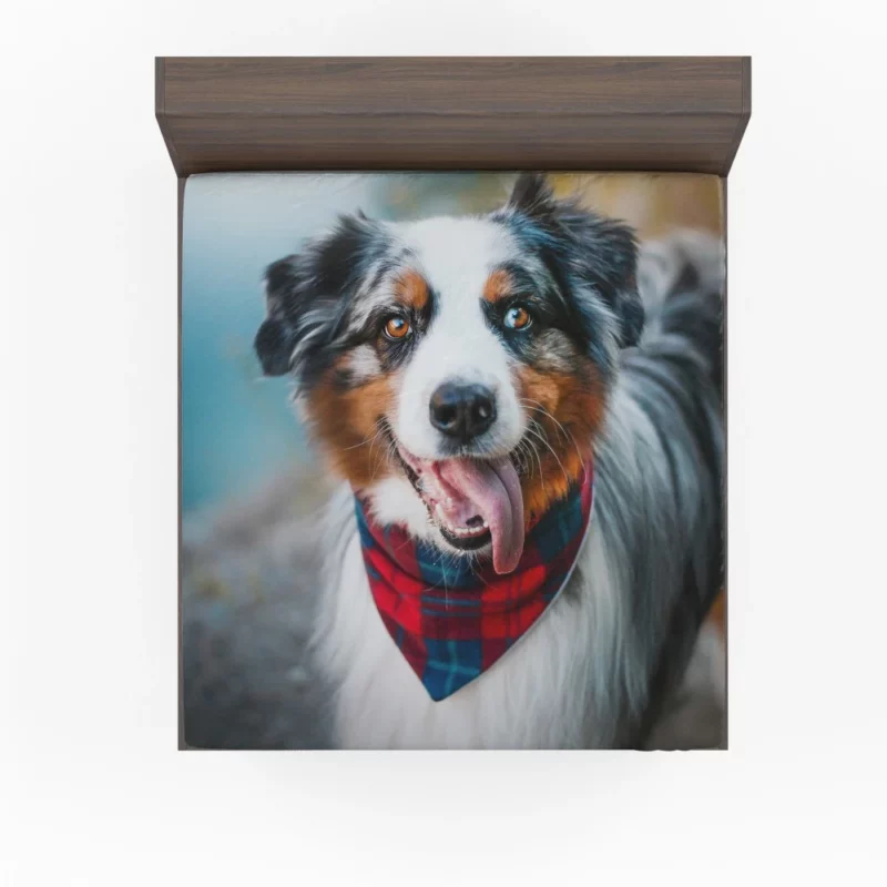 Australian Shepherd Blue-Eyed Aura Fitted Sheet 1