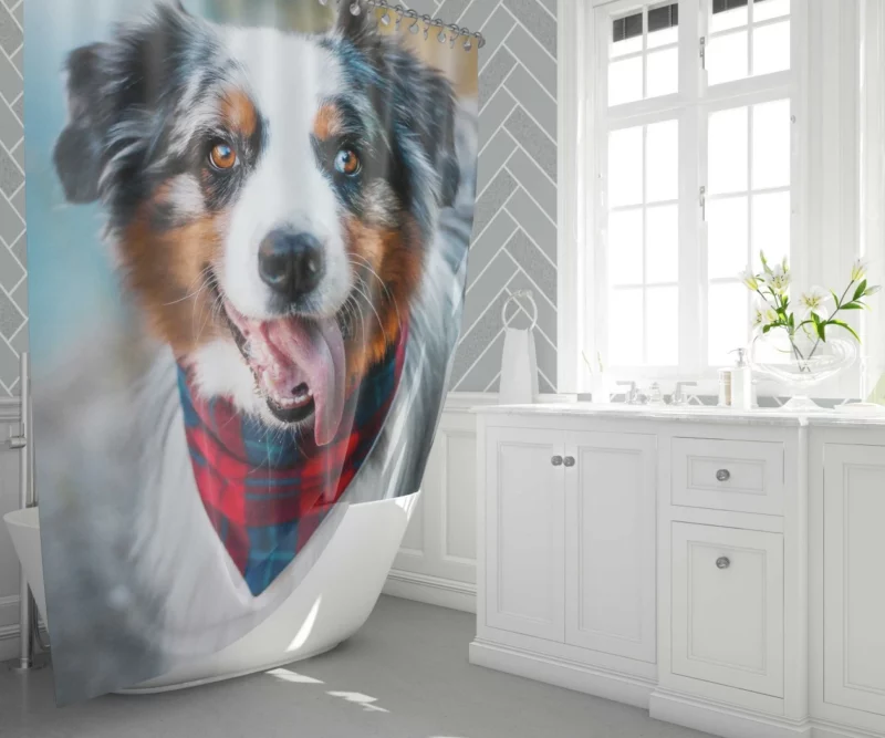 Australian Shepherd Blue-Eyed Aura Shower Curtain 1