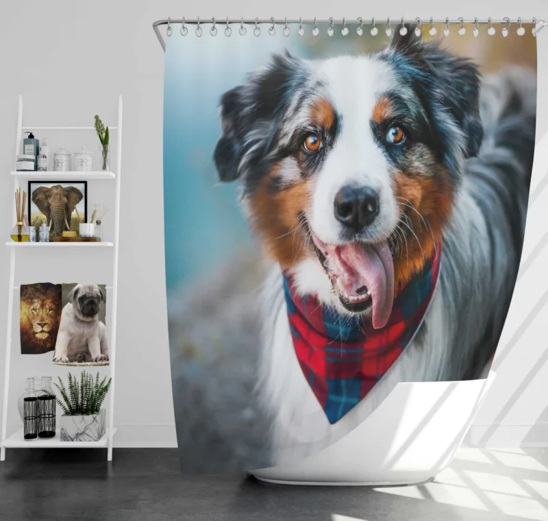 Australian Shepherd Blue-Eyed Aura Shower Curtain