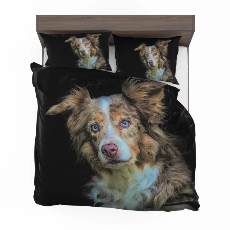 Australian Shepherd Blue-Eyed Wonder Bedding Set 1