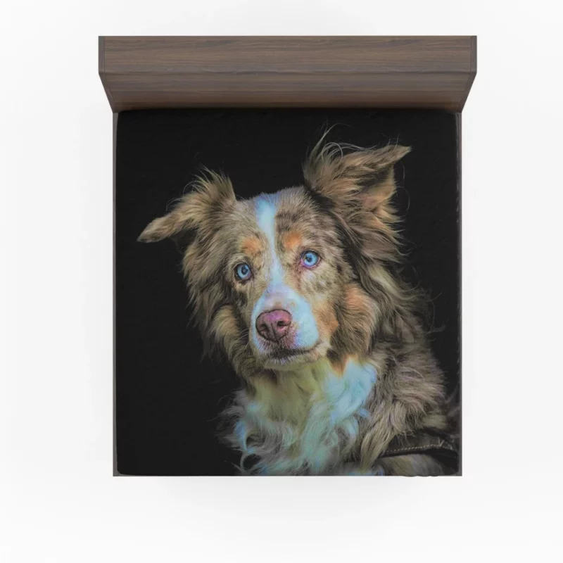 Australian Shepherd Blue-Eyed Wonder Fitted Sheet 1