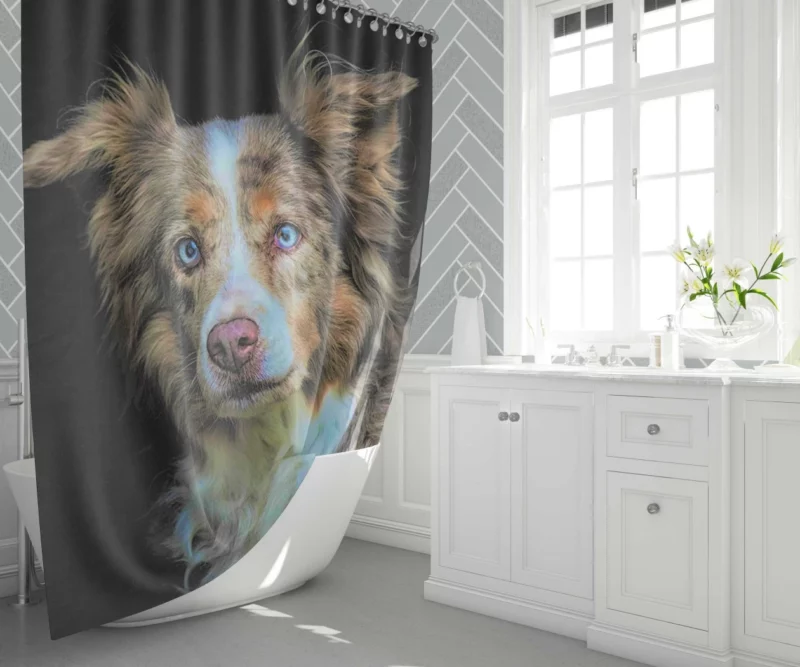 Australian Shepherd Blue-Eyed Wonder Shower Curtain 1