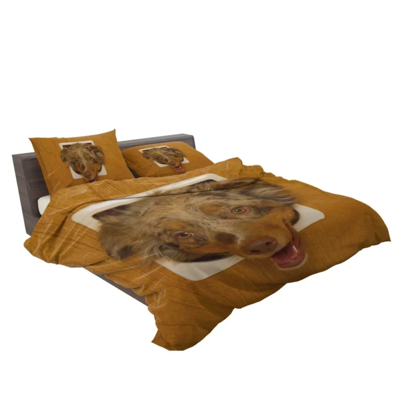 Australian Shepherd Captivating Headshot Bedding Set 2