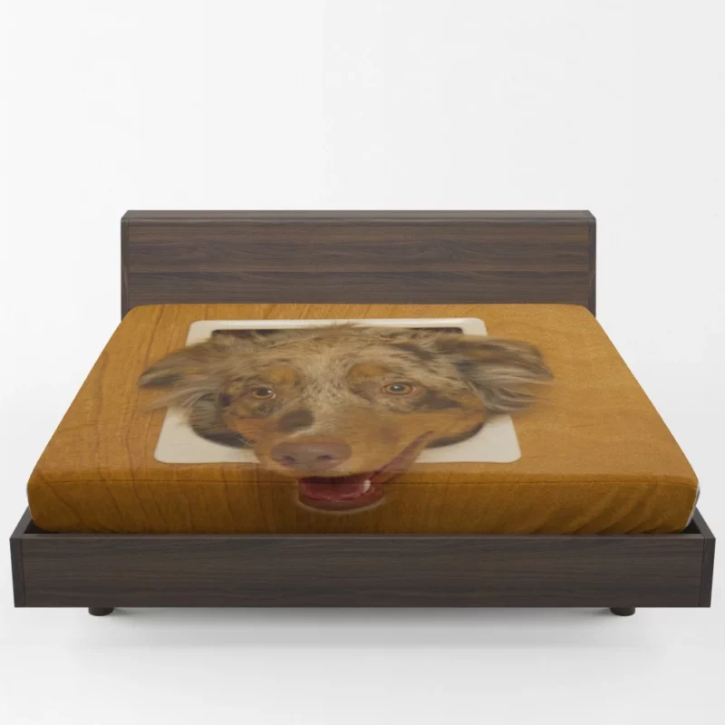 Australian Shepherd Captivating Headshot Fitted Sheet