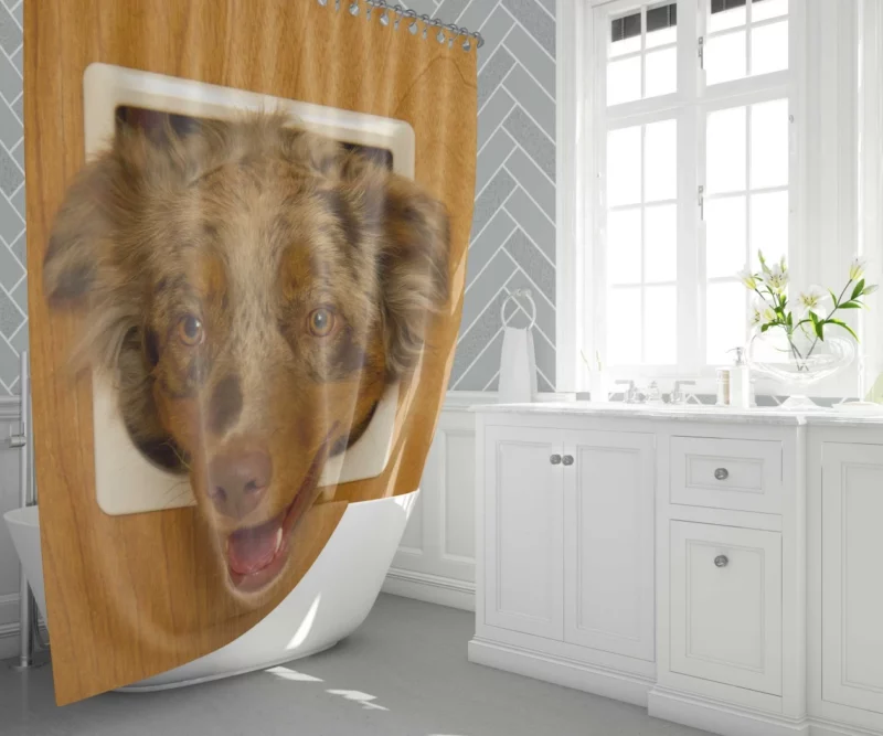 Australian Shepherd Captivating Headshot Shower Curtain 1