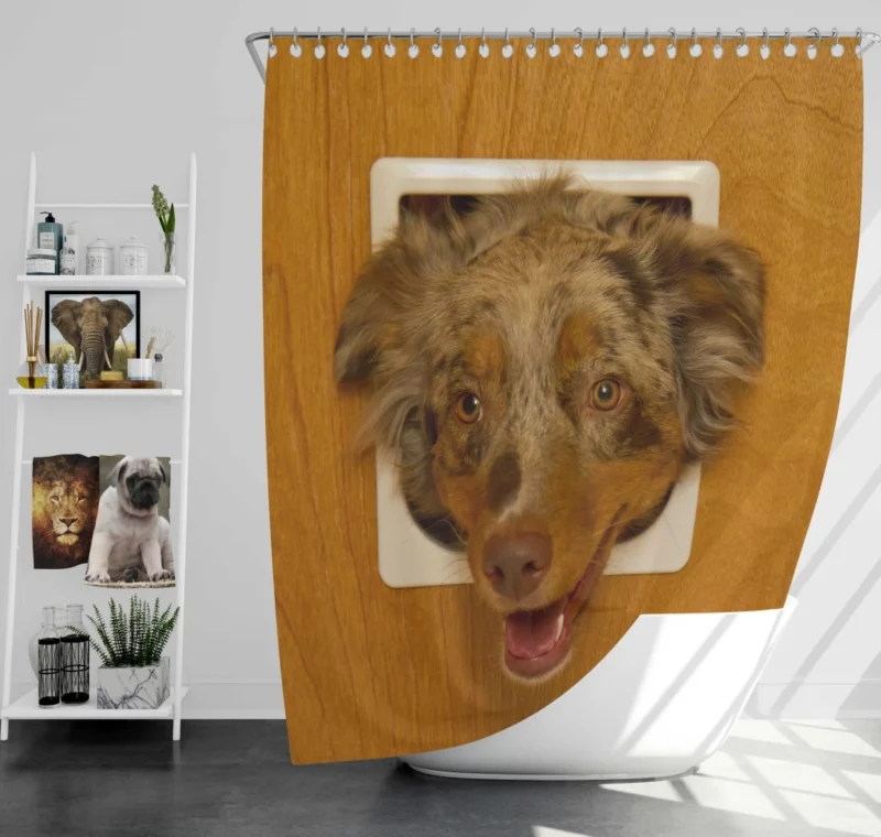 Australian Shepherd Captivating Headshot Shower Curtain