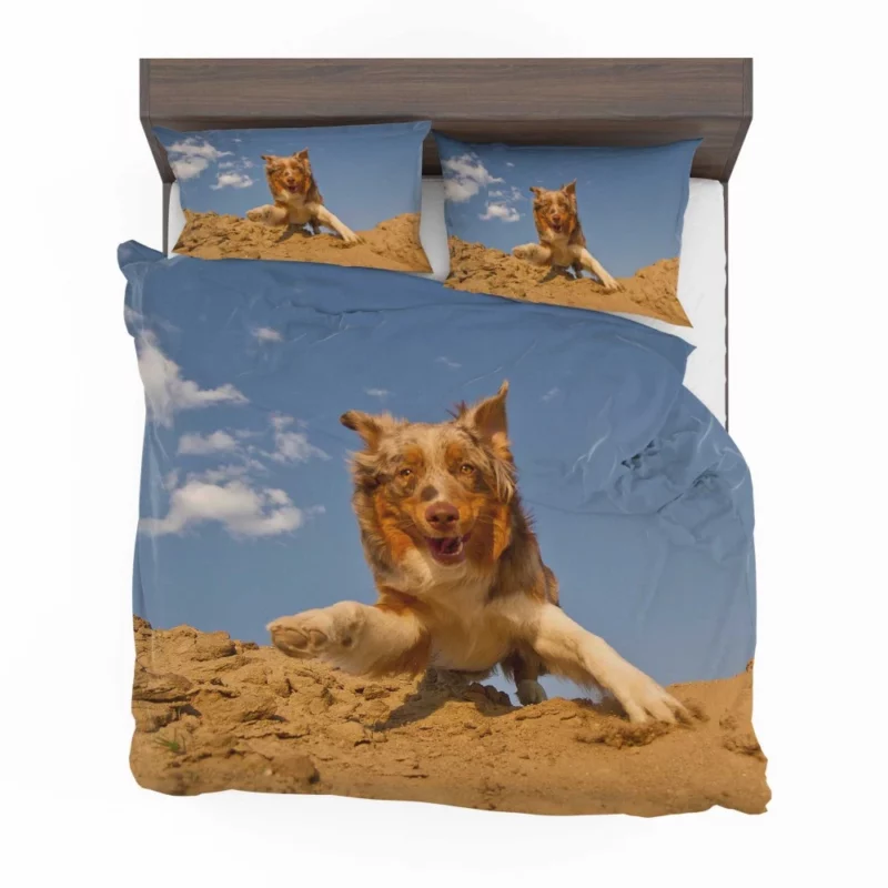 Australian Shepherd Desert Sprint Bedding Set 1