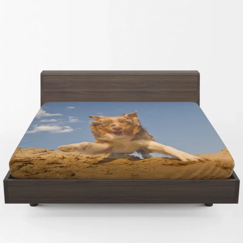 Australian Shepherd Desert Sprint Fitted Sheet