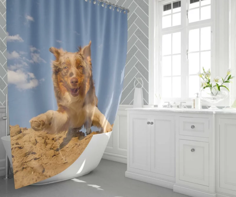 Australian Shepherd Desert Sprint Shower Curtain 1