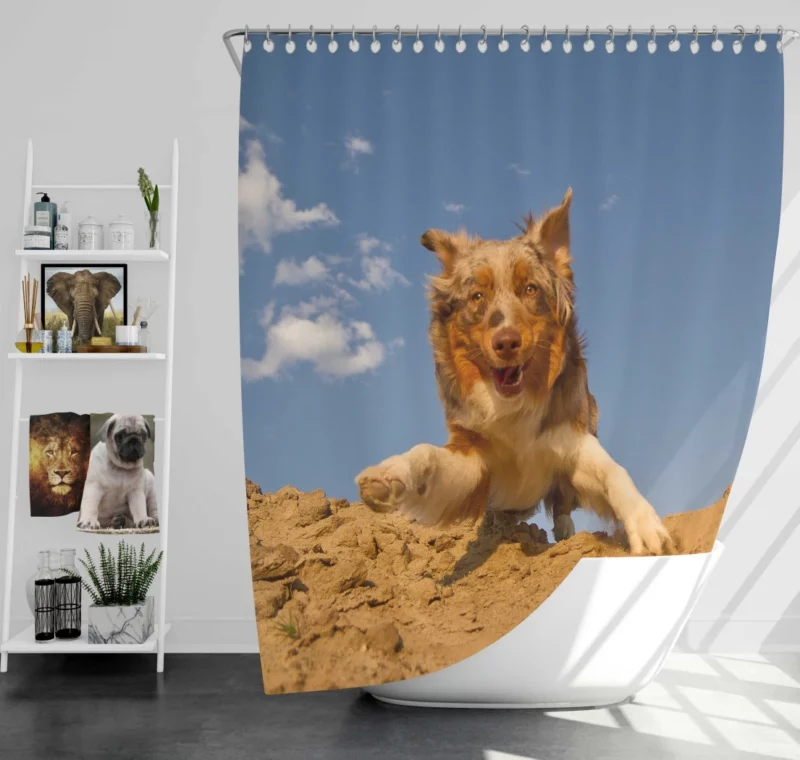 Australian Shepherd Desert Sprint Shower Curtain