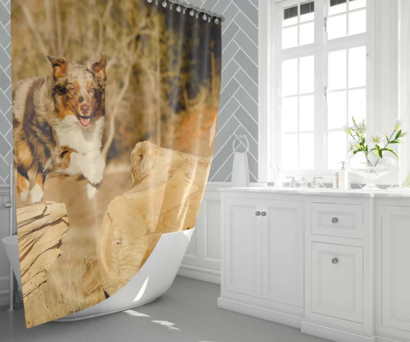 Australian Shepherd Dogs in Wild Motion Shower Curtain 1