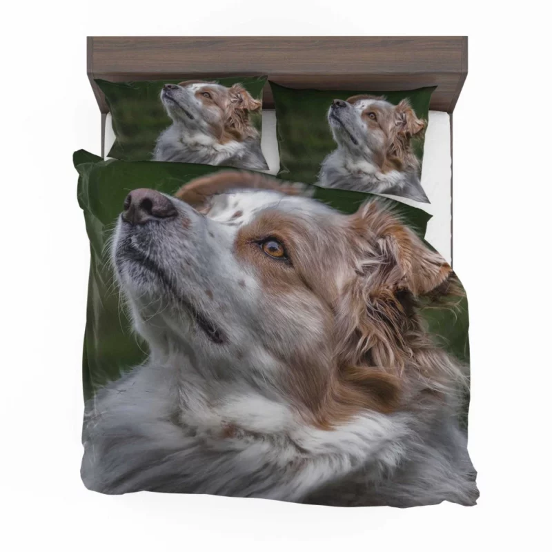 Australian Shepherd Energetic Charm Bedding Set 1