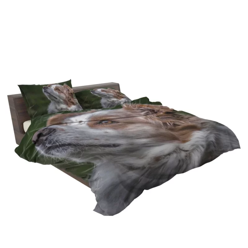 Australian Shepherd Energetic Charm Bedding Set 2