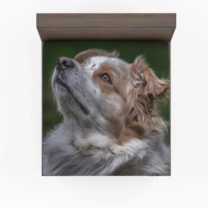 Australian Shepherd Energetic Charm Fitted Sheet 1