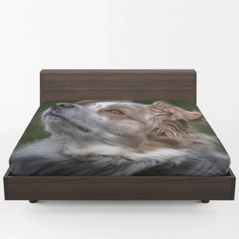 Australian Shepherd Energetic Charm Fitted Sheet