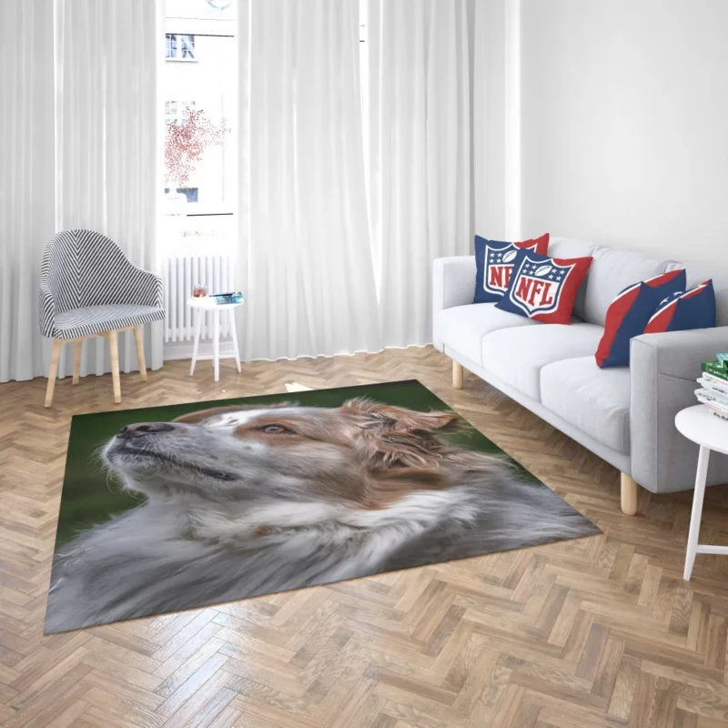 Australian Shepherd Energetic Charm Rug 2