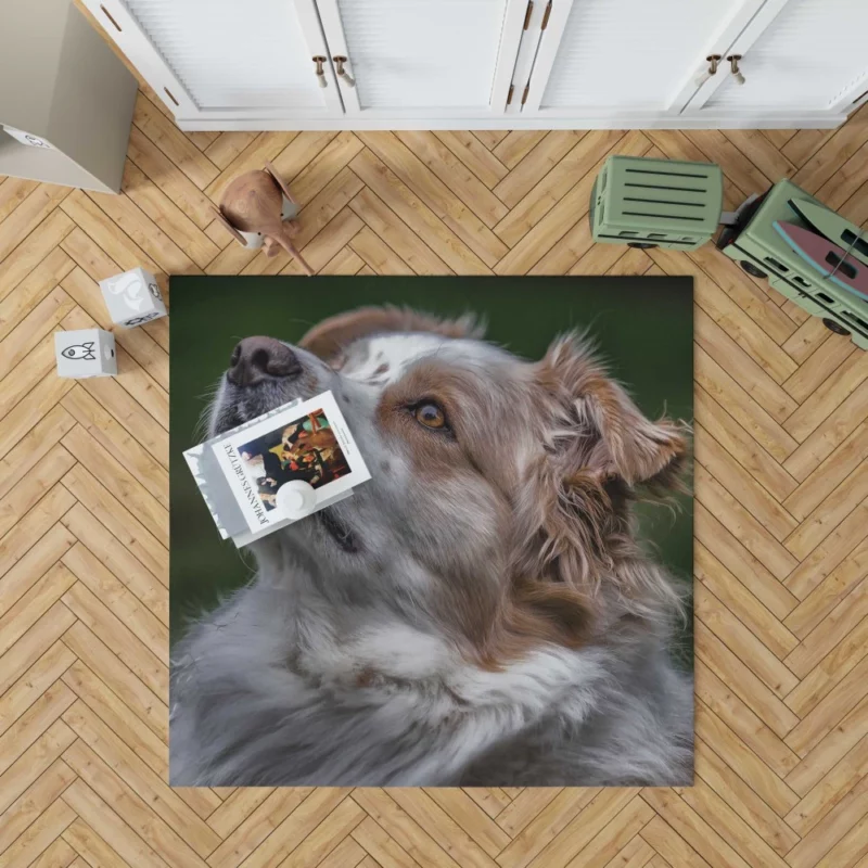 Australian Shepherd Energetic Charm Rug