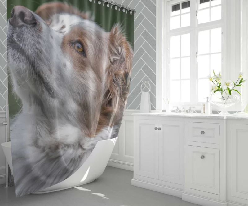 Australian Shepherd Energetic Charm Shower Curtain 1