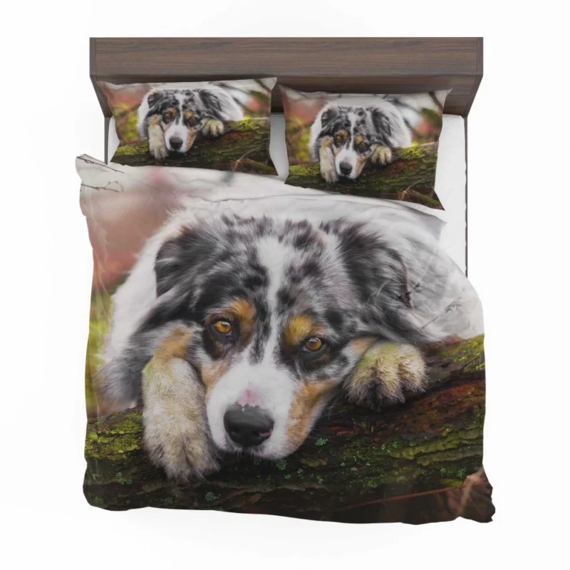 Australian Shepherd Enigmatic Gaze Bedding Set 1