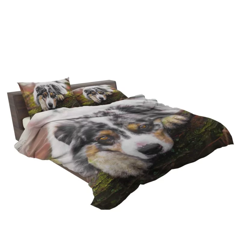 Australian Shepherd Enigmatic Gaze Bedding Set 2