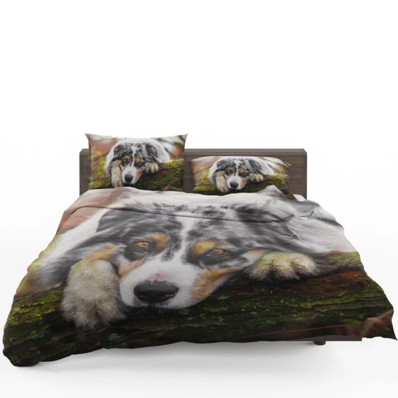 Australian Shepherd Enigmatic Gaze Bedding Set