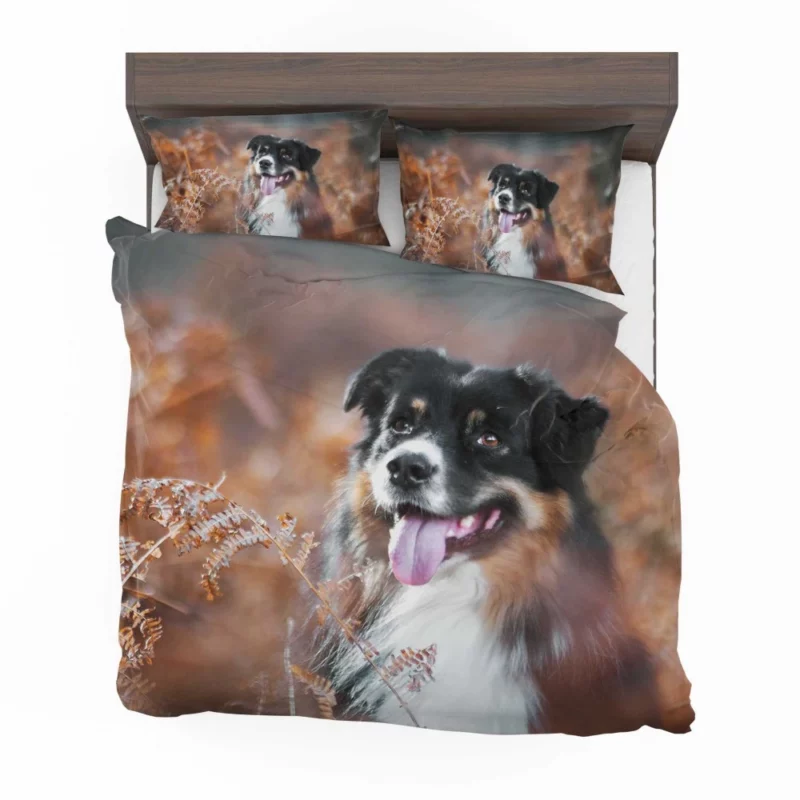 Australian Shepherd Fall Adventure Bedding Set 1