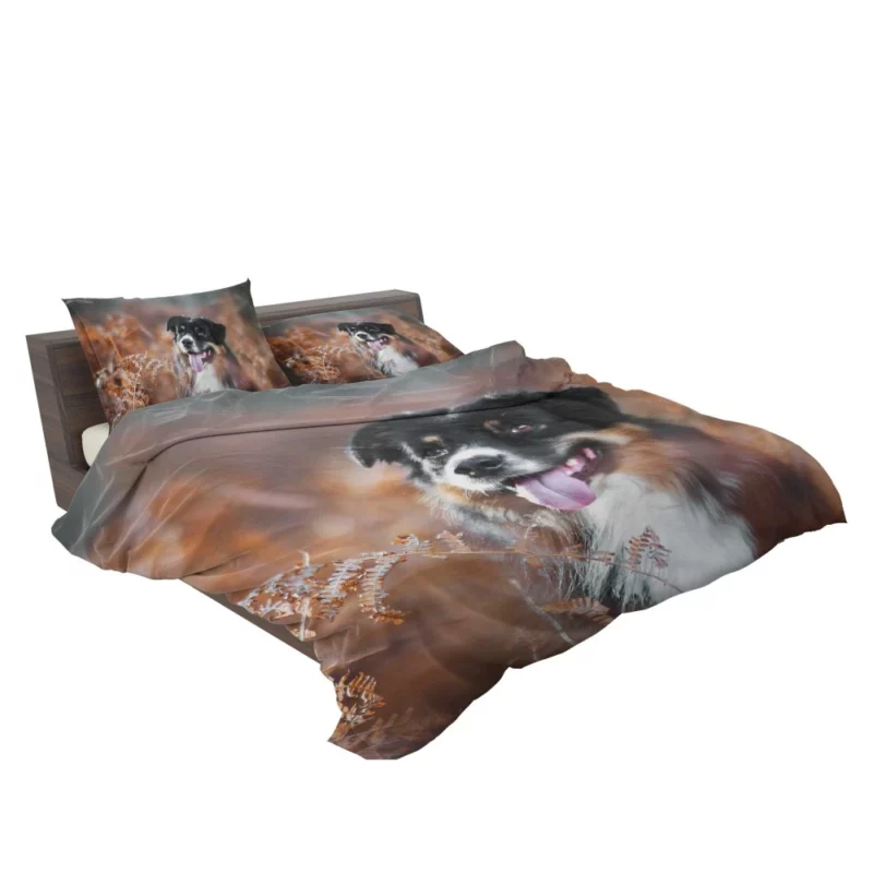 Australian Shepherd Fall Adventure Bedding Set 2