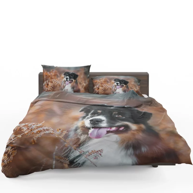 Australian Shepherd Fall Adventure Bedding Set