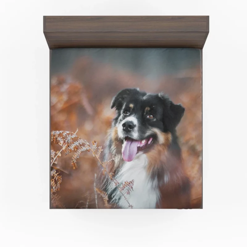 Australian Shepherd Fall Adventure Fitted Sheet 1