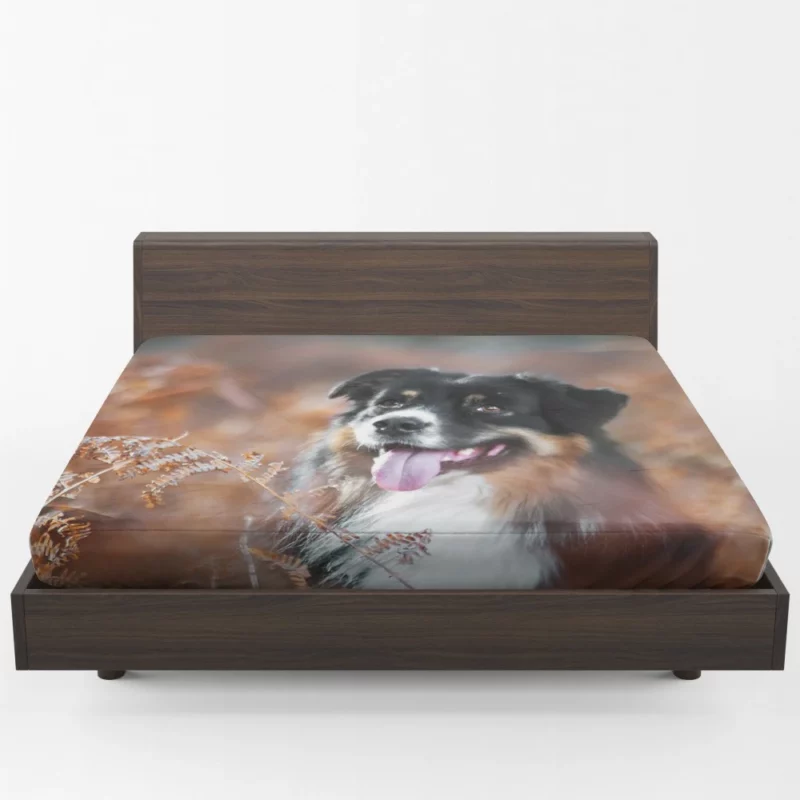 Australian Shepherd Fall Adventure Fitted Sheet