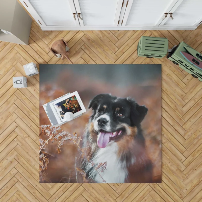 Australian Shepherd Fall Adventure Rug